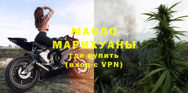 индика Заводоуковск