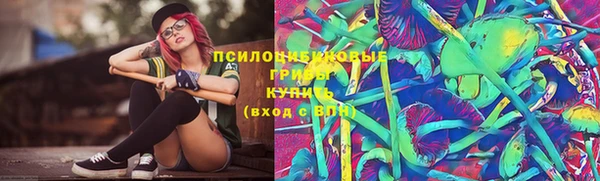 ПСИЛОЦИБИНОВЫЕ ГРИБЫ Каменск-Шахтинский
