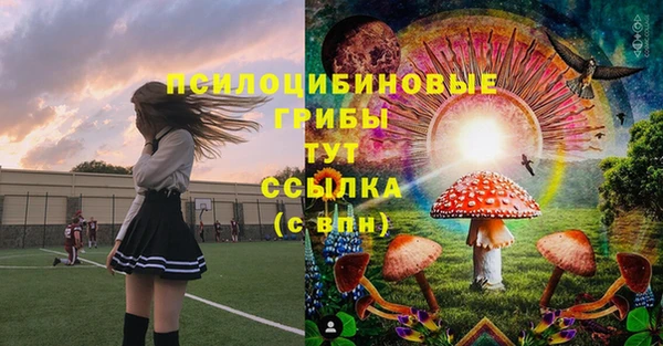 ПСИЛОЦИБИНОВЫЕ ГРИБЫ Каменск-Шахтинский
