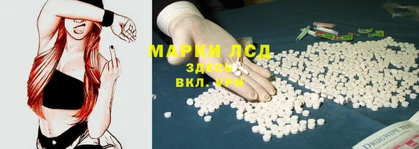 прущий лед Инсар