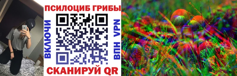 цены Черняховск blacksprut ONION Псилоцибиновые грибы MAGIC MUSHROOMS